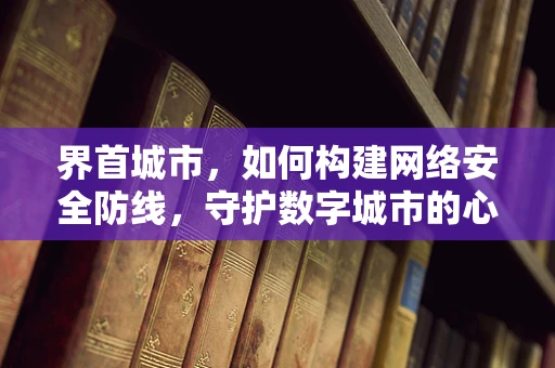 界首城市，如何构建网络安全防线，守护数字城市的心跳？