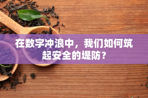 在数字冲浪中，我们如何筑起安全的堤防？