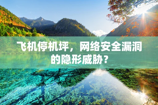 飞机停机坪，网络安全漏洞的隐形威胁？