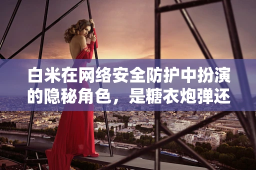 白米在网络安全防护中扮演的隐秘角色，是糖衣炮弹还是安全漏洞？