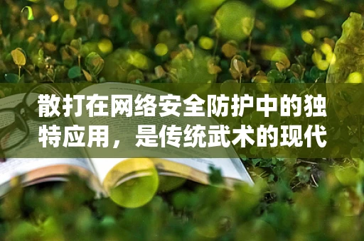 散打在网络安全防护中的独特应用，是传统武术的现代转型吗？