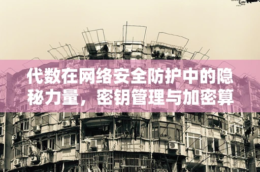代数在网络安全防护中的隐秘力量，密钥管理与加密算法的奥秘