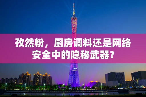 孜然粉，厨房调料还是网络安全中的隐秘武器？