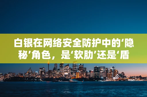 白银在网络安全防护中的‘隐秘’角色，是‘软肋’还是‘盾牌’？