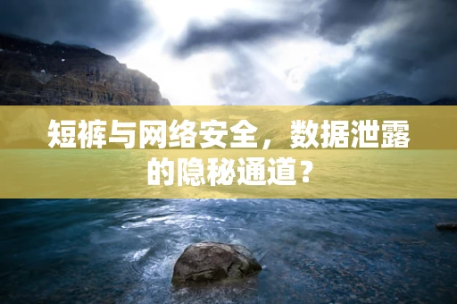 短裤与网络安全，数据泄露的隐秘通道？