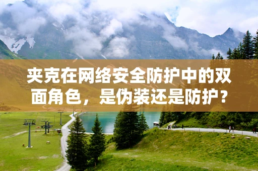 夹克在网络安全防护中的双面角色，是伪装还是防护？