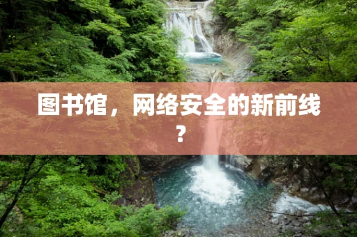 图书馆，网络安全的新前线？
