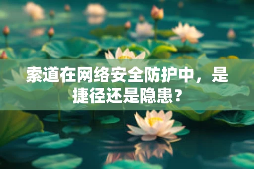 索道在网络安全防护中，是捷径还是隐患？