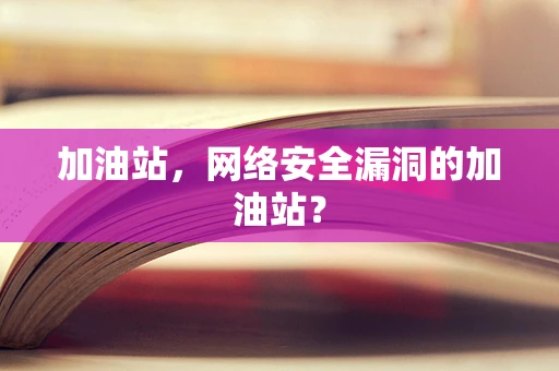 加油站，网络安全漏洞的加油站？