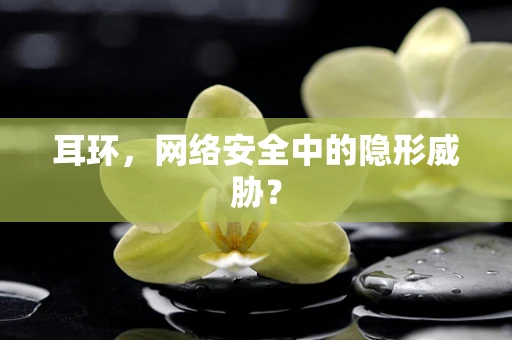 耳环，网络安全中的隐形威胁？