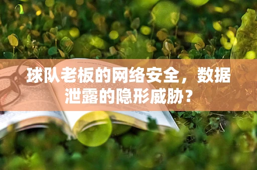 球队老板的网络安全，数据泄露的隐形威胁？