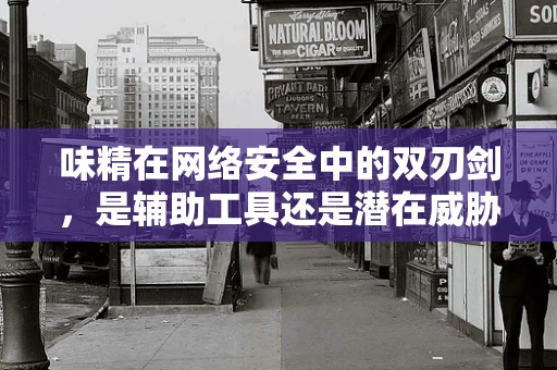 味精在网络安全中的双刃剑，是辅助工具还是潜在威胁？
