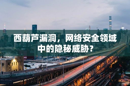 西葫芦漏洞，网络安全领域中的隐秘威胁？