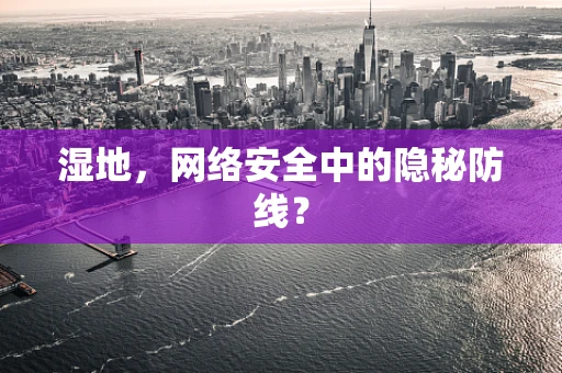 湿地，网络安全中的隐秘防线？