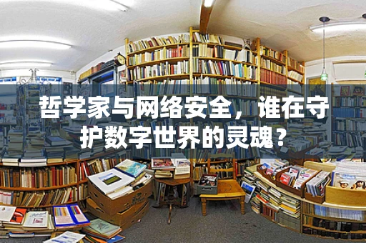 哲学家与网络安全，谁在守护数字世界的灵魂？
