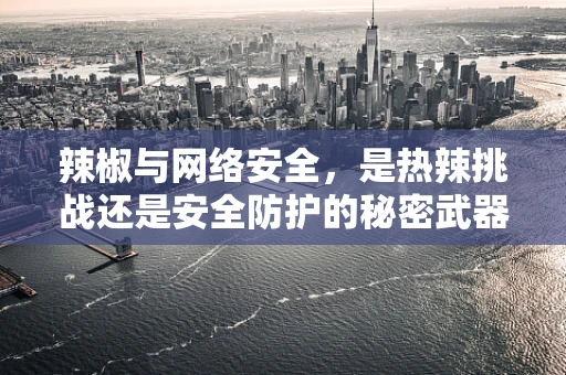 辣椒与网络安全，是热辣挑战还是安全防护的秘密武器？