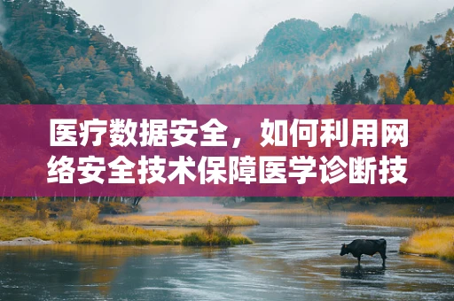 医疗数据安全，如何利用网络安全技术保障医学诊断技术的隐私？