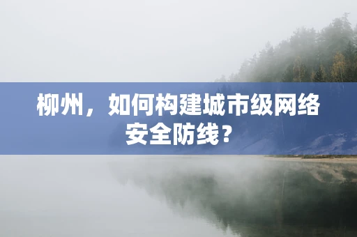柳州，如何构建城市级网络安全防线？
