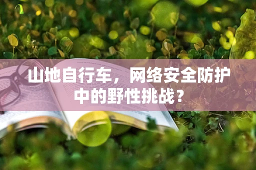 山地自行车，网络安全防护中的野性挑战？