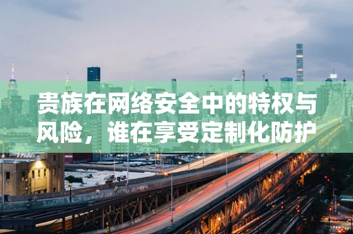 贵族在网络安全中的特权与风险，谁在享受定制化防护？