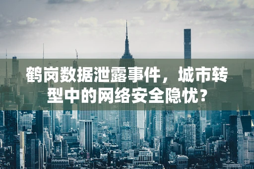 鹤岗数据泄露事件，城市转型中的网络安全隐忧？