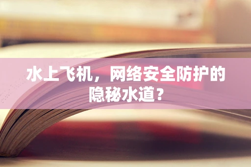水上飞机，网络安全防护的隐秘水道？