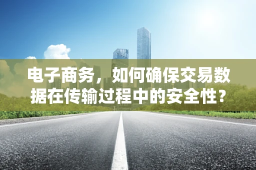 电子商务，如何确保交易数据在传输过程中的安全性？