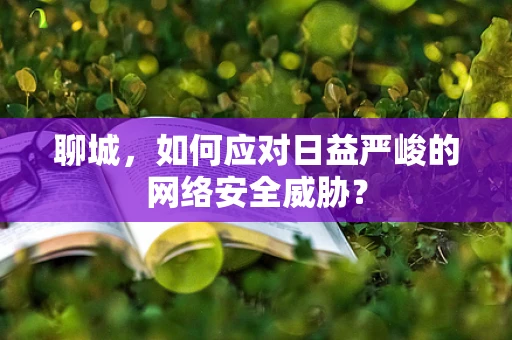 聊城，如何应对日益严峻的网络安全威胁？