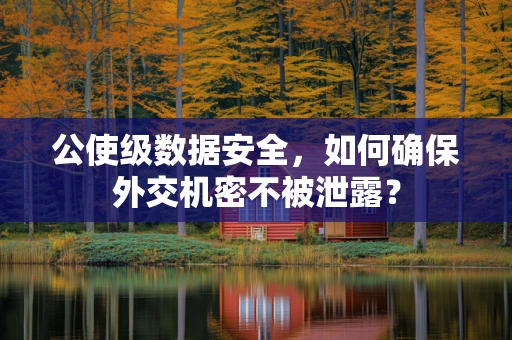 公使级数据安全，如何确保外交机密不被泄露？