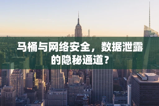 马桶与网络安全，数据泄露的隐秘通道？