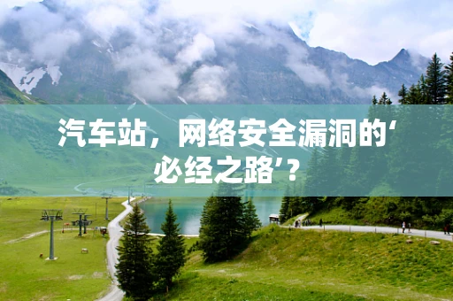 汽车站，网络安全漏洞的‘必经之路’？