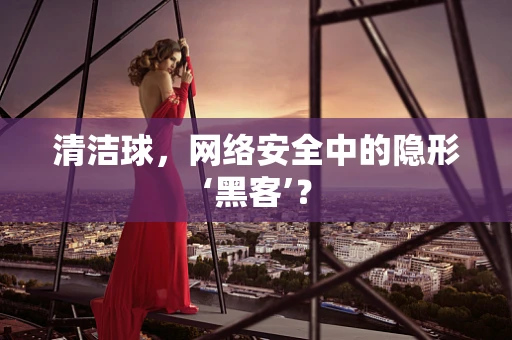 清洁球，网络安全中的隐形‘黑客’？