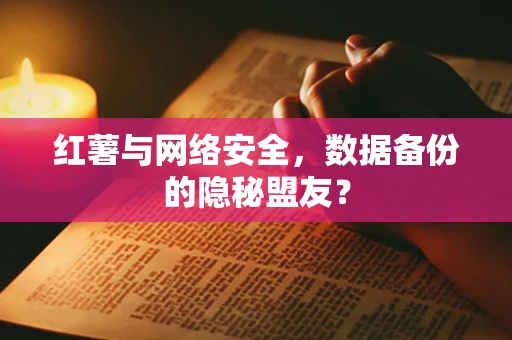 红薯与网络安全，数据备份的隐秘盟友？