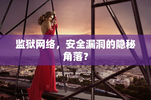 监狱网络，安全漏洞的隐秘角落？
