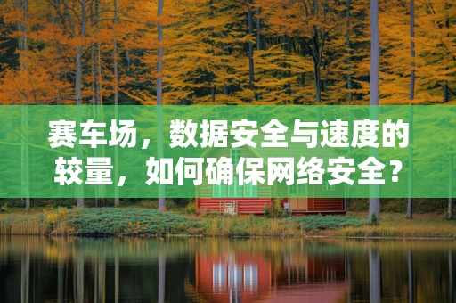 赛车场，数据安全与速度的较量，如何确保网络安全？
