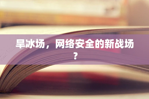 旱冰场，网络安全的新战场？