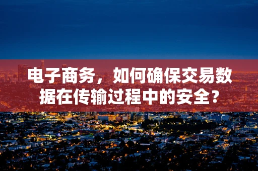 电子商务，如何确保交易数据在传输过程中的安全？