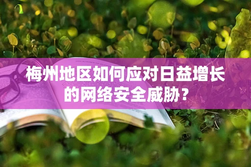 梅州地区如何应对日益增长的网络安全威胁？