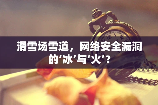 滑雪场雪道，网络安全漏洞的‘冰’与‘火’？