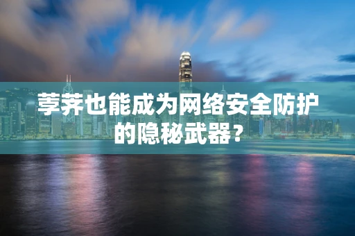 荸荠也能成为网络安全防护的隐秘武器？