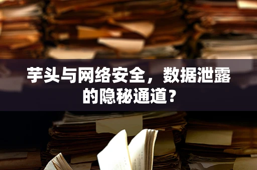 芋头与网络安全，数据泄露的隐秘通道？