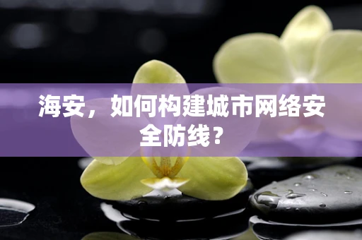 海安，如何构建城市网络安全防线？