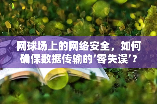 网球场上的网络安全，如何确保数据传输的‘零失误’？