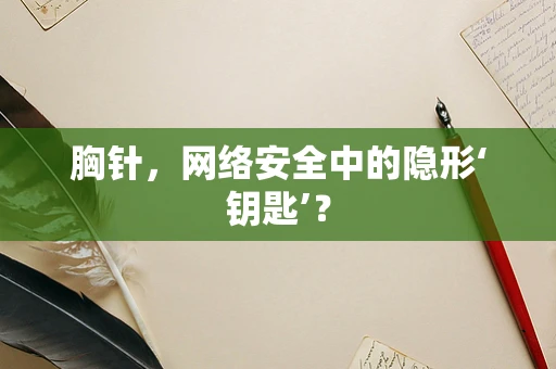 胸针，网络安全中的隐形‘钥匙’？