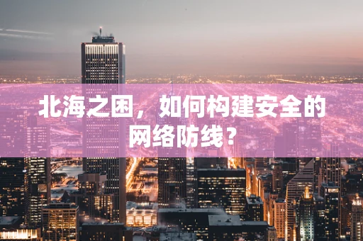 北海之困，如何构建安全的网络防线？