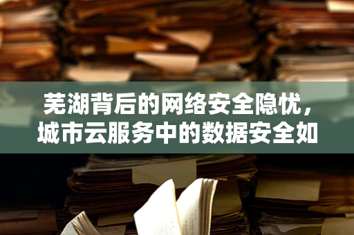 芜湖背后的网络安全隐忧，城市云服务中的数据安全如何筑防？