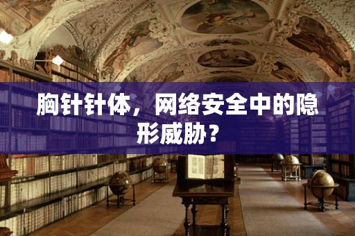 胸针针体，网络安全中的隐形威胁？