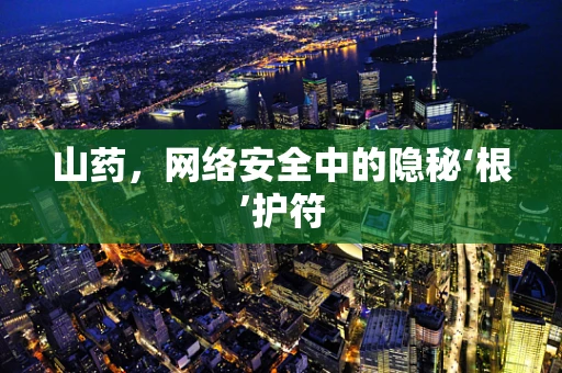 山药，网络安全中的隐秘‘根’护符