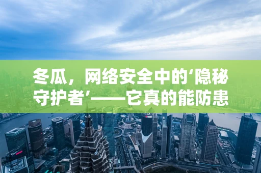 冬瓜，网络安全中的‘隐秘守护者’——它真的能防患于未然吗？