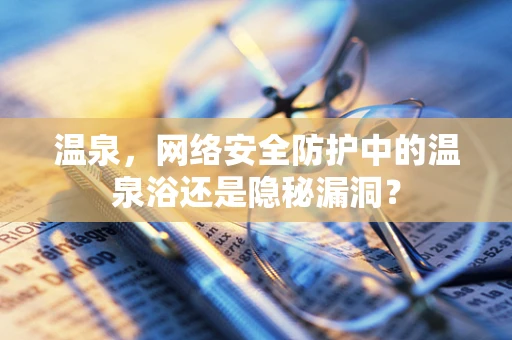 温泉，网络安全防护中的温泉浴还是隐秘漏洞？